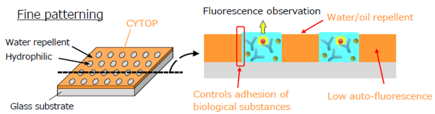 The hydrophobic and hydrophilic patterning is created with a hydrophobic and oleophobic coating. Oleophobicity (oil barrier) enables static control (sliding, moving, separating and mixing) of the liquid by using the wettability property. Hydrophobicity and oleophobicity suppress the adhesion of biological molecules and compounds, facilitating fluorescence observation and measurement of the reactions of the sample inside the hydrophilic part.