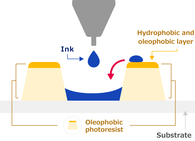 A cross-sectional drawing of the function of the hydrophobic and oleophobic layer of the oleophobic photoresist. An oleophobic (oil barrier) layer achieved by the fluorine component is formed at the top of the oleophobic photoresist, which is also called the bank material, formed on the substrate so that the ink slides down and settles inside the pixel even when it is dripped onto the hydrophobic(water repellent) and oleophobic(oil repellent) layer. The surface transfer property and orientation characteristic of fluorine are used to form the hydrophobic and oleophobic layer.
