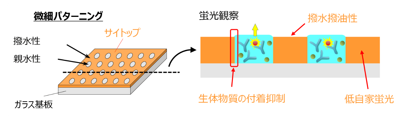 撥水撥油コーティングにより親撥パターニングを作り出すメカニズム。撥油(オイルバリヤ)は濡れ性を利用し液体の静的制御(滑落、移動、分離、混合)を可能にする。撥水撥油性は生体分子や化合物の付着抑制を作り出す。親水部内の検体の反応の蛍光観察、測定を容易にする。